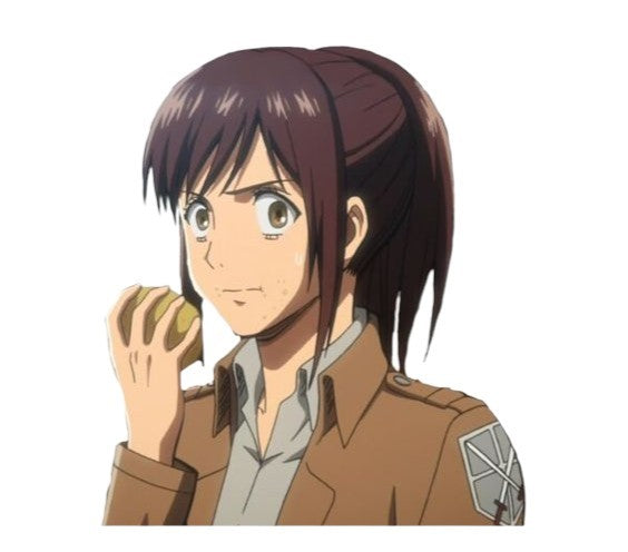 AOT Sasha