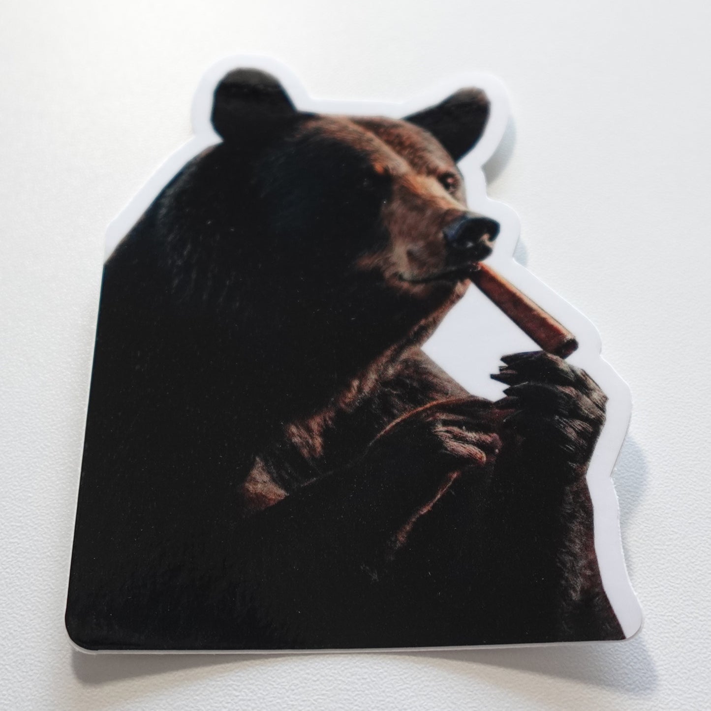 Cigar Bear