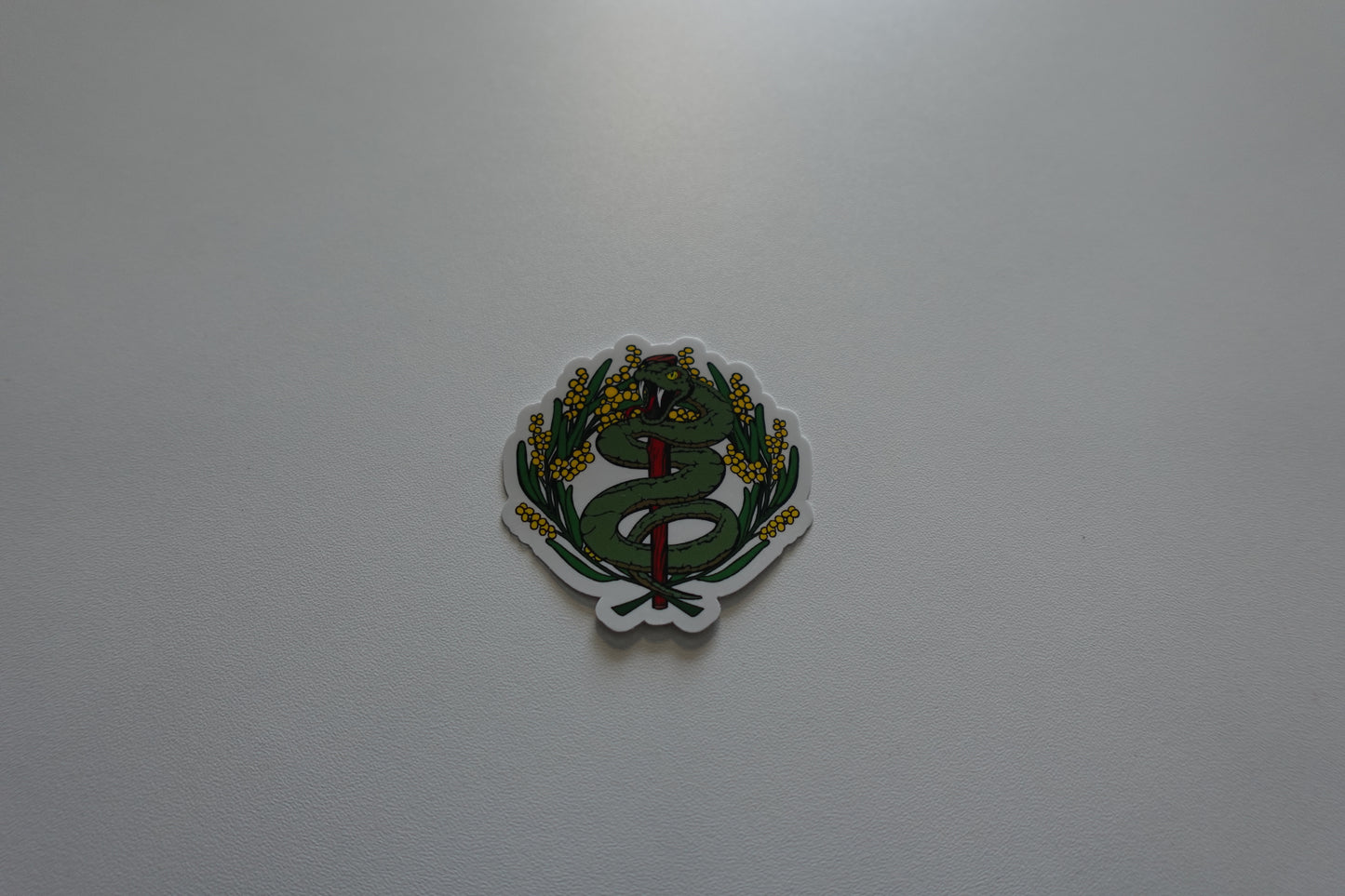 Golden Wattle Medic Snake