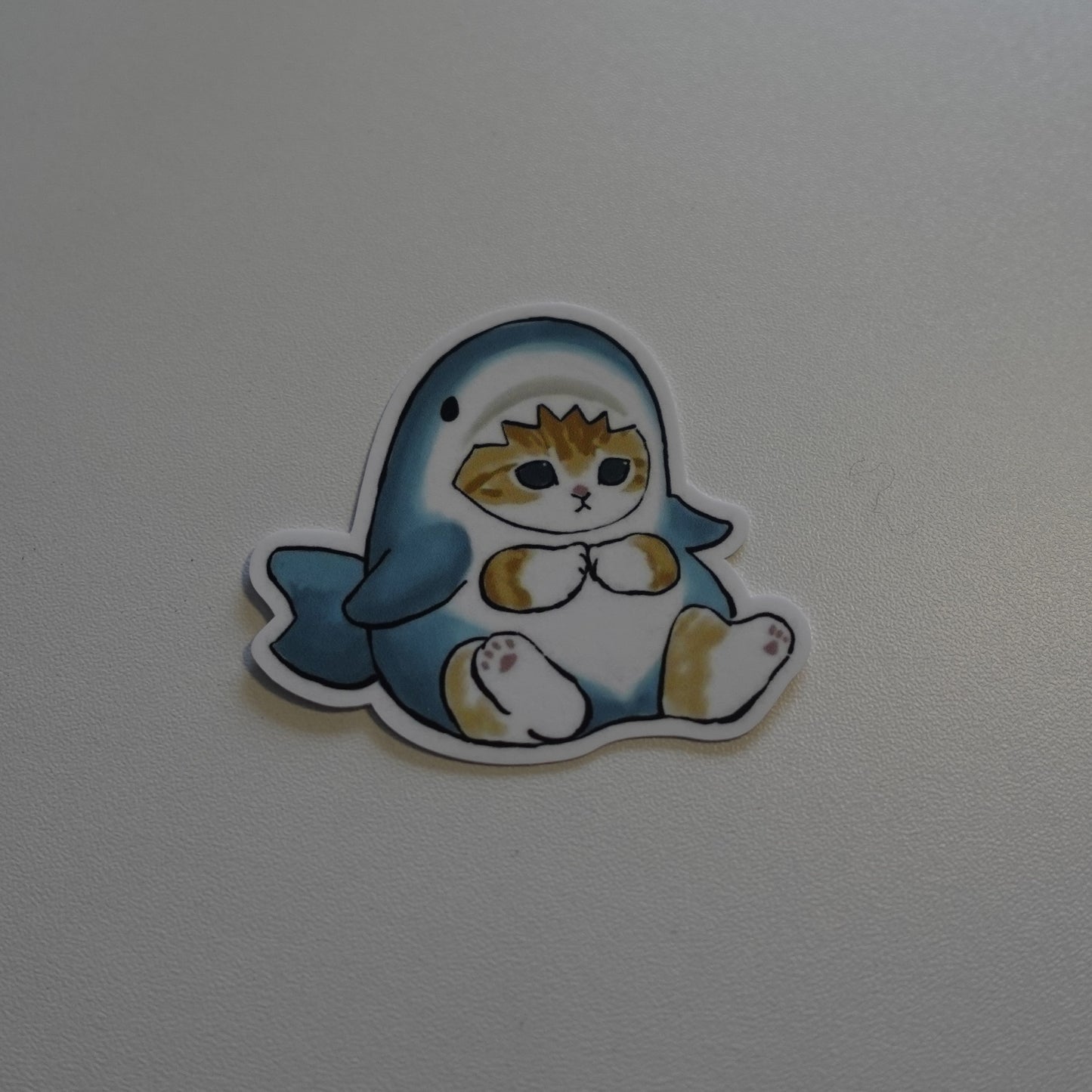 Kitty Shark