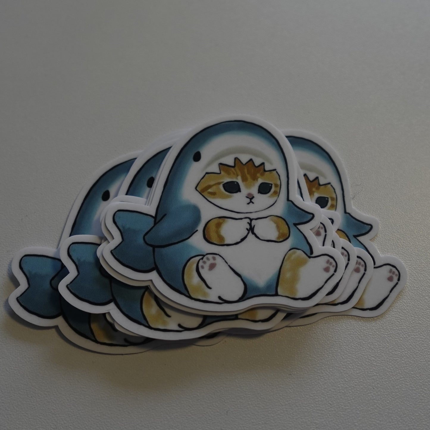 Kitty Shark