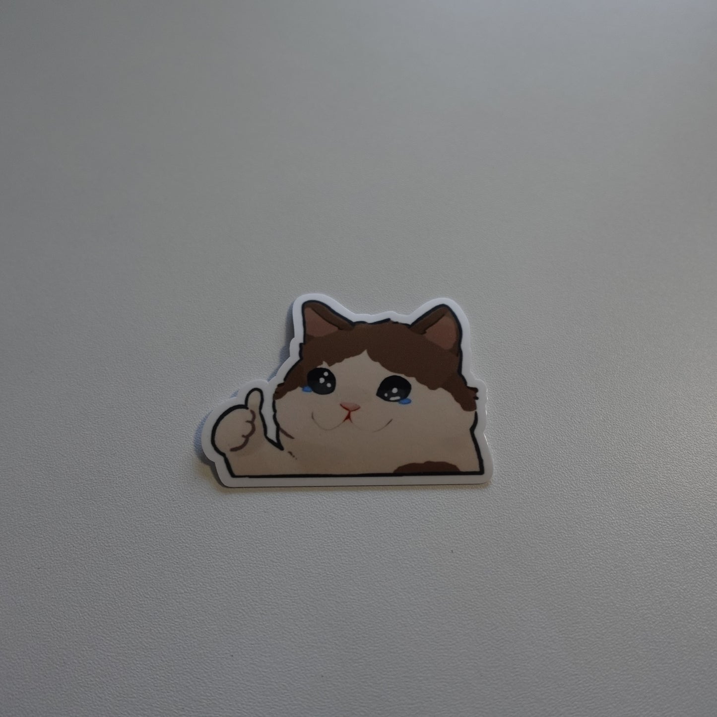 Thumbs up Sad Kitty
