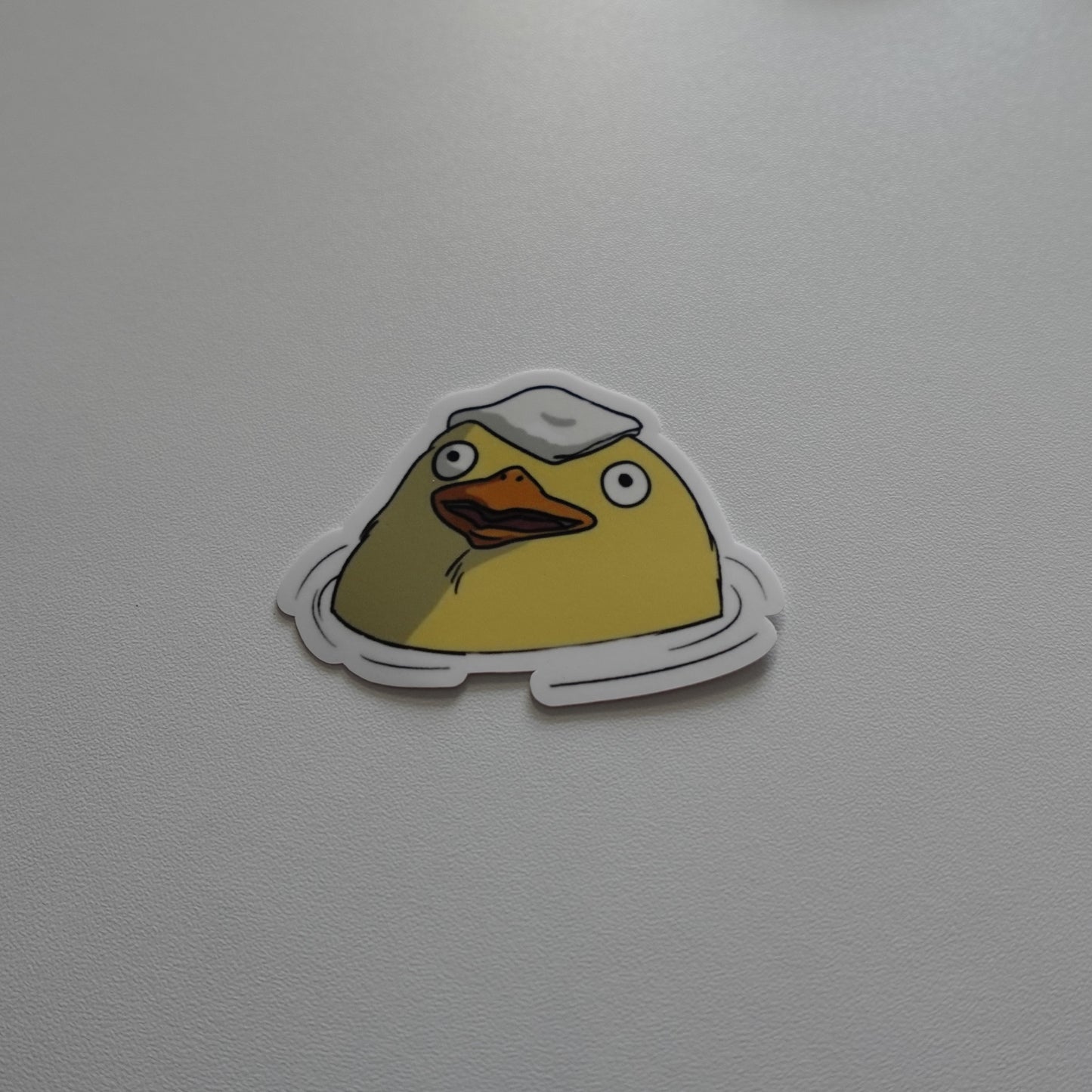 Duck Bath