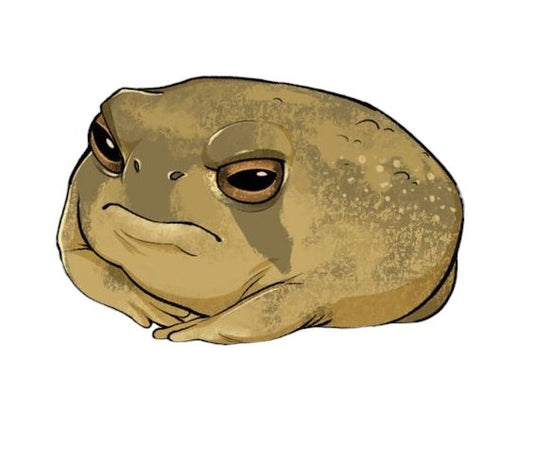 Grumpy Toad