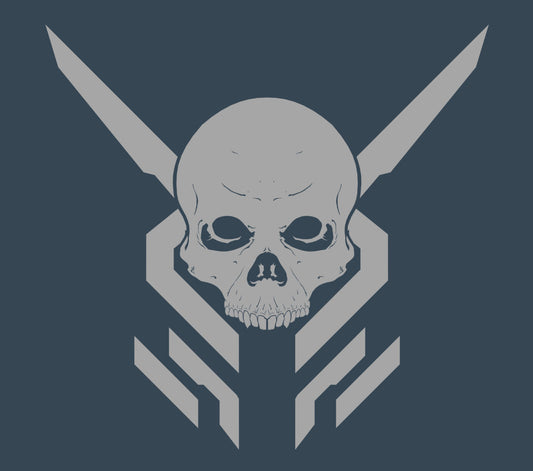 Fireteam Skull