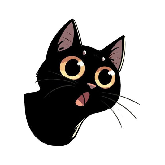 Surprised Kitty