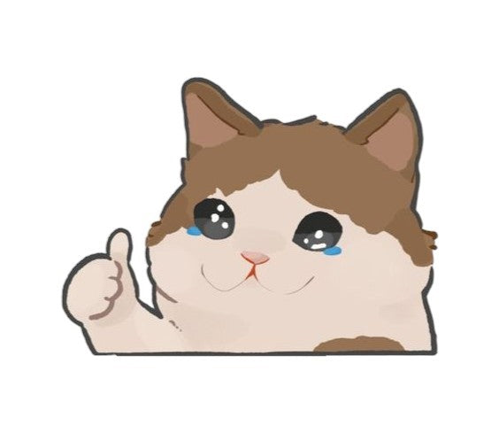 Thumbs up Sad Kitty