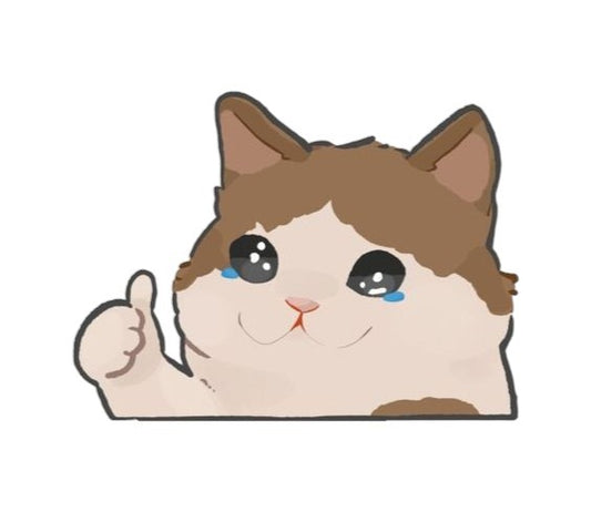 Thumbs up Sad Kitty