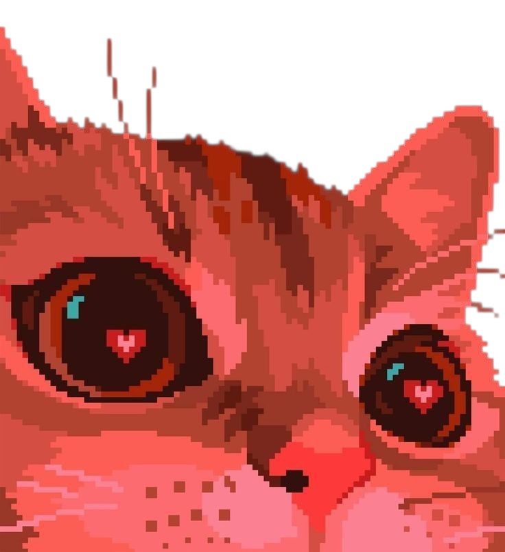 kitty heart