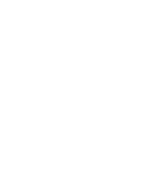 feature-item-1