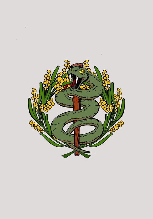 2HB Golden Wattle Medic Snake