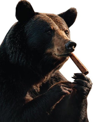 Cigar Bear