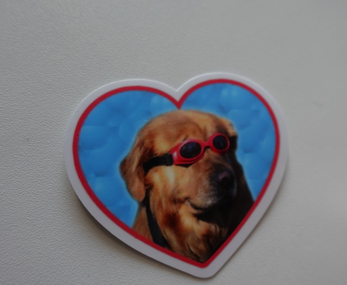 Heart Dog