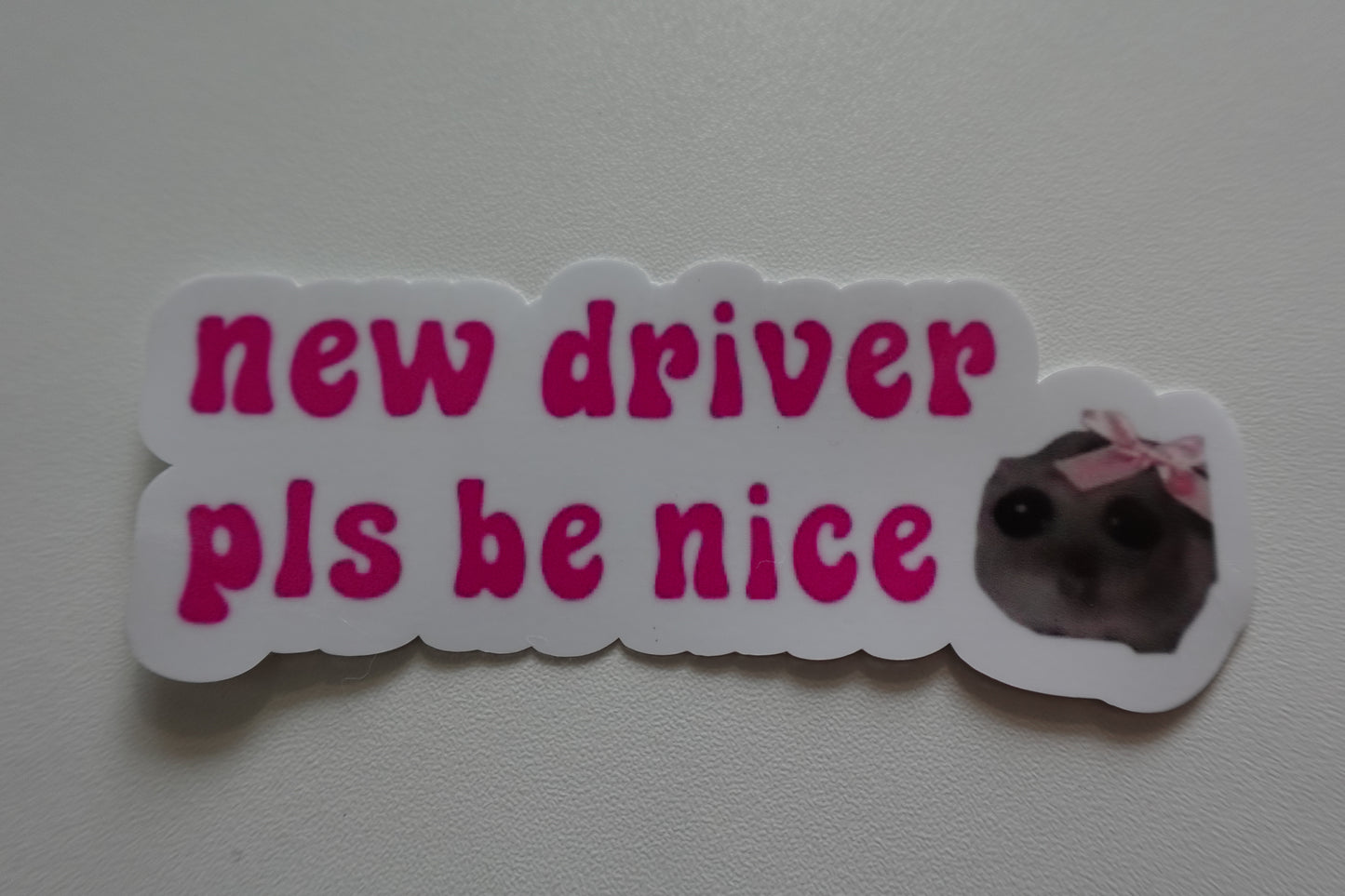 New Driver pls be nice