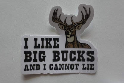 I like Big Bucks and I Cannot Lie