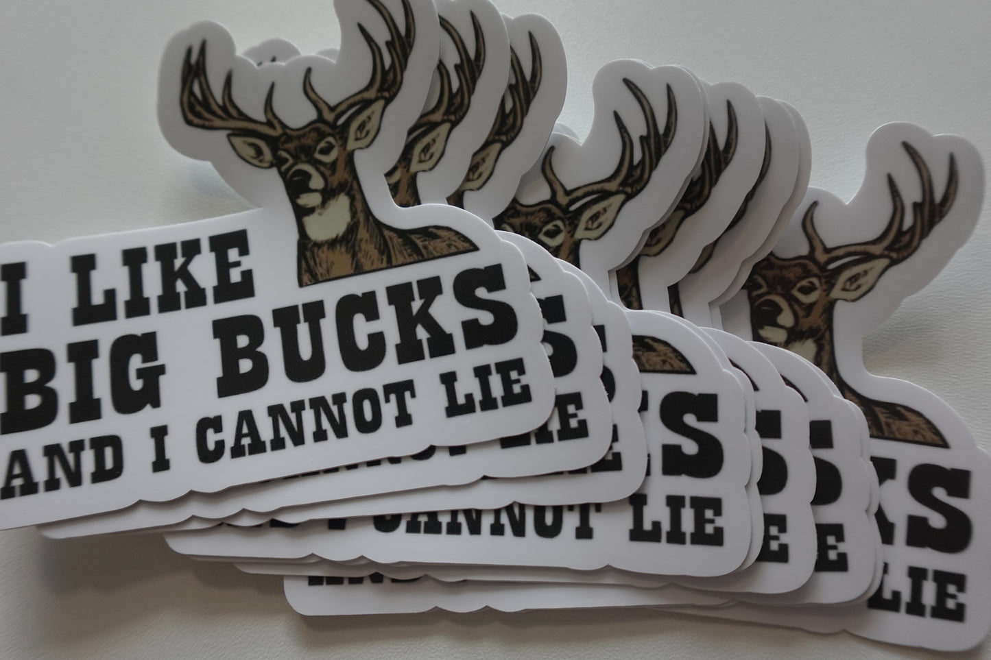 I like Big Bucks and I Cannot Lie