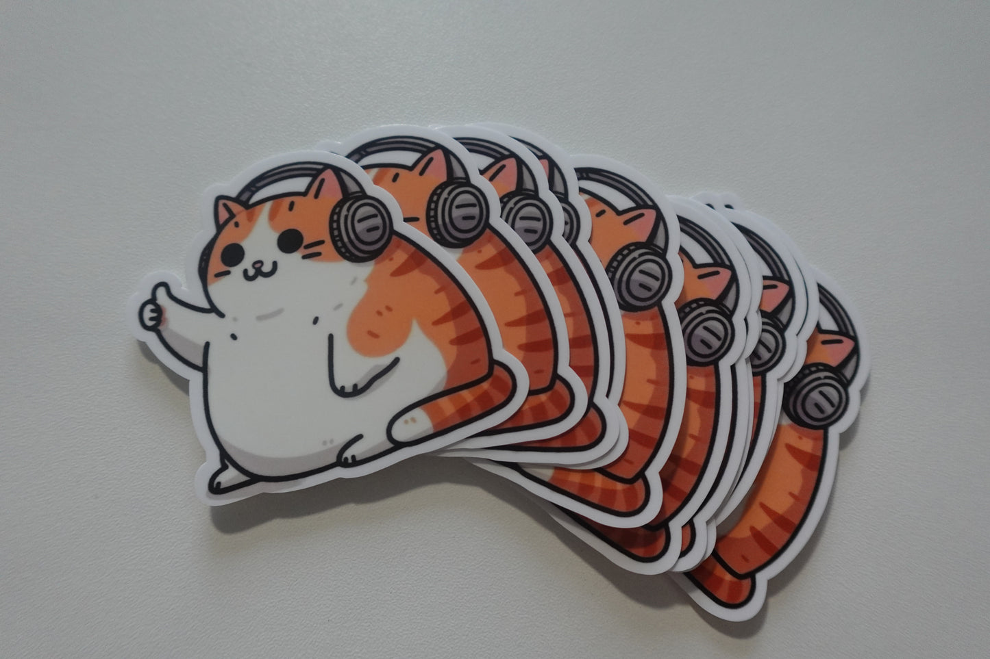 Chubby Kitty