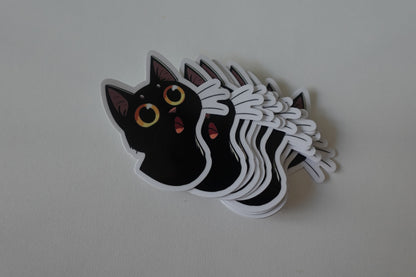 Surprised Kitty