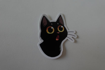 Surprised Kitty