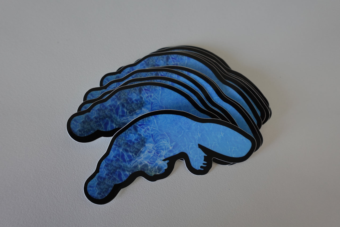Platypool
