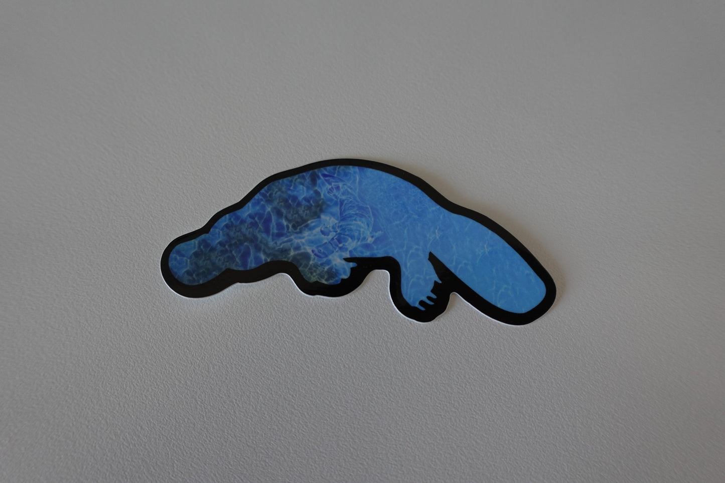 Platypool