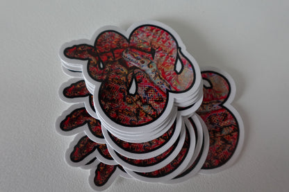 Rug Snake
