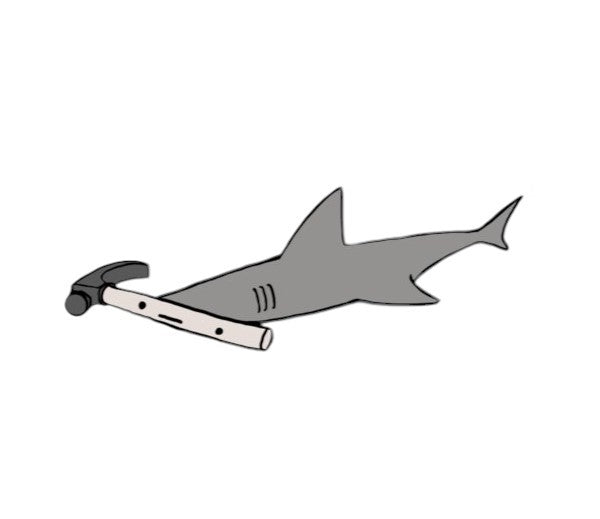 Hammer Head Shark