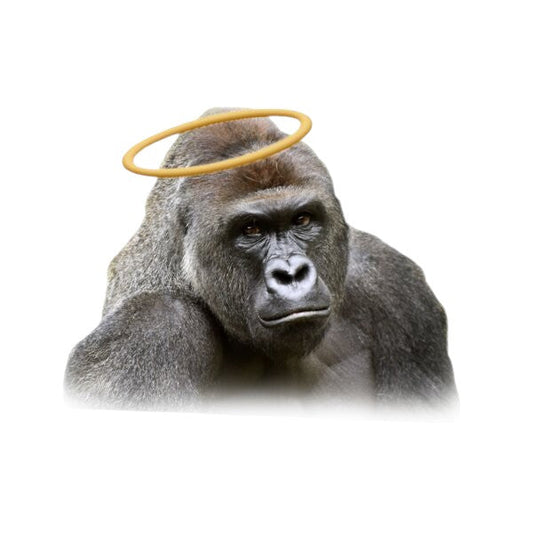 Harambe Remember