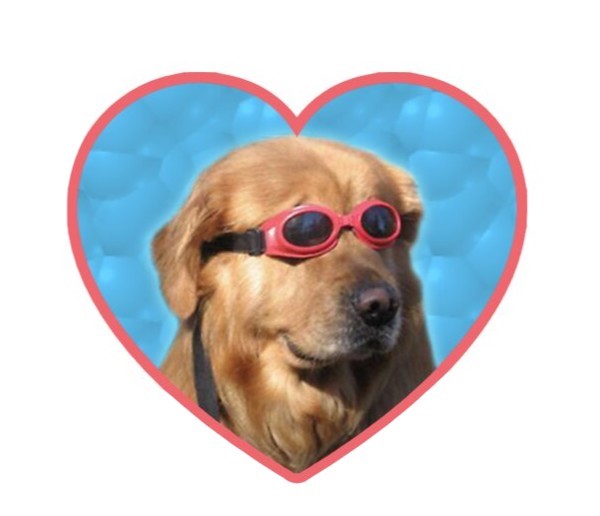 Heart Dog