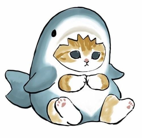 Kitty Shark