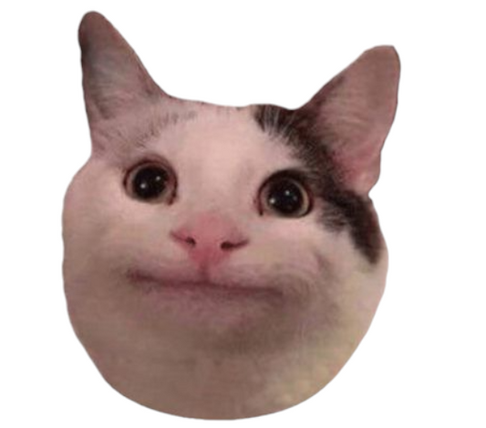 Kitty Smile