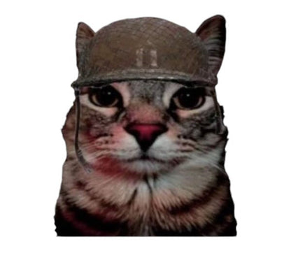 Military Cat