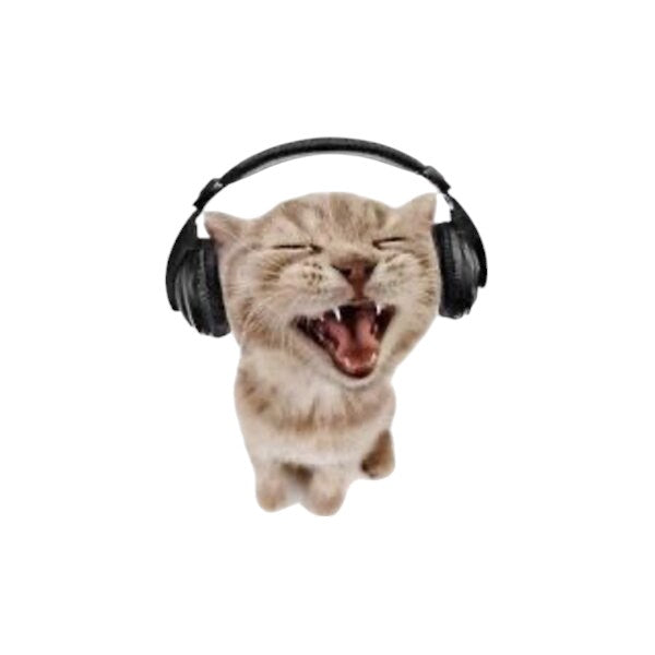 Music Kitty