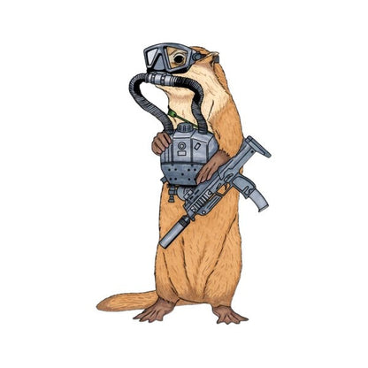 Navy Otter Ops