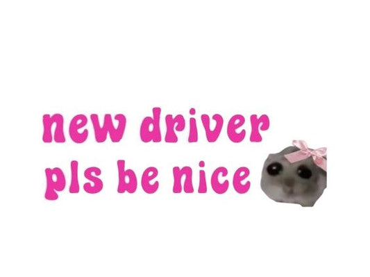 New Driver pls be nice