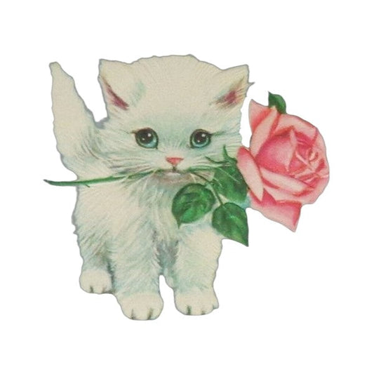 Rose Kitty