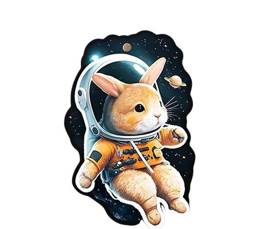 Space Bunny