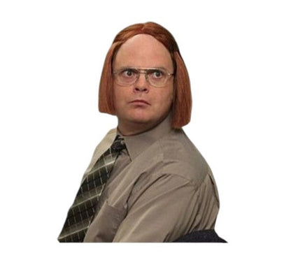 The Office- Dwight Disguise