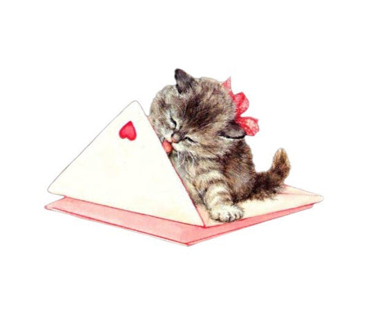 Valentines Day Kitty Cat