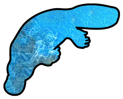 Platypool